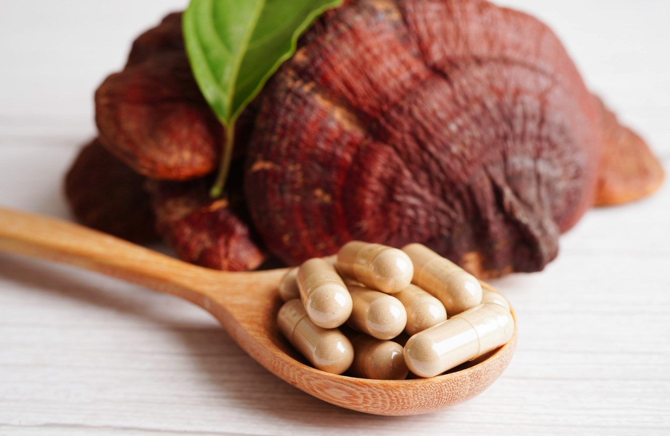 Reishi Capsules (60)