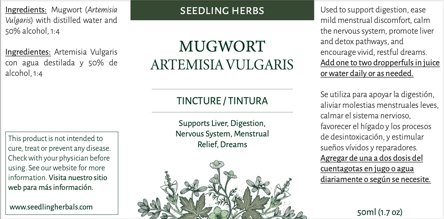 Tintura de artemisa (Artemisia vulgaris)
