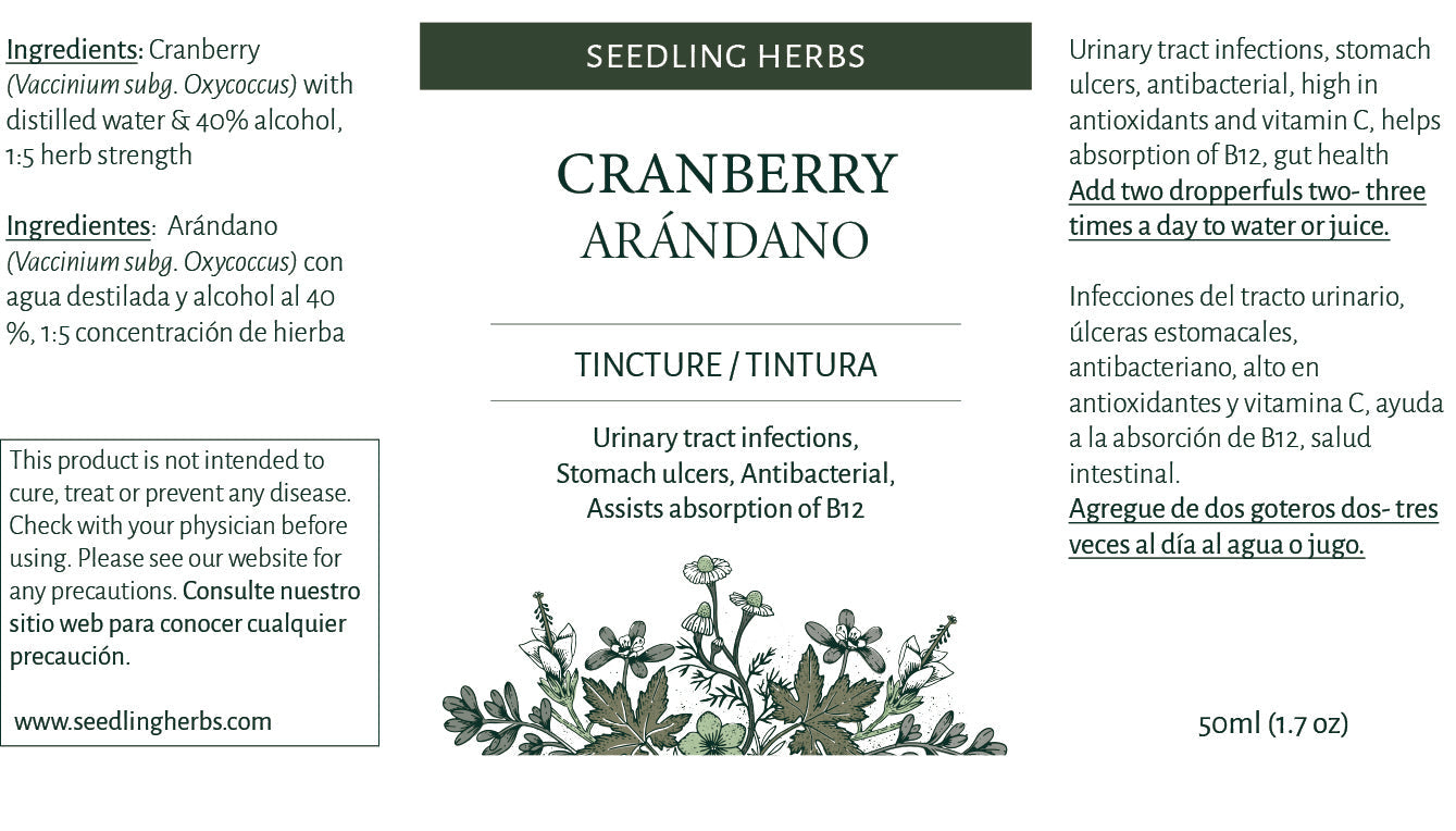 Tintura de arándano