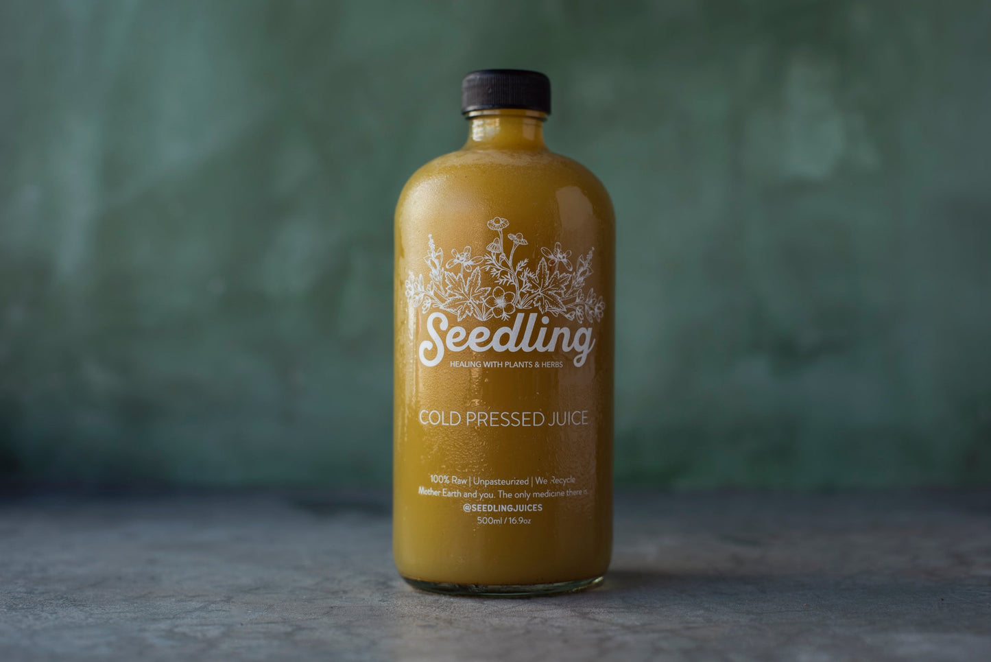 Spiced Apple - Red apples, celery, cinnamon, cloves, ginger, turmeric