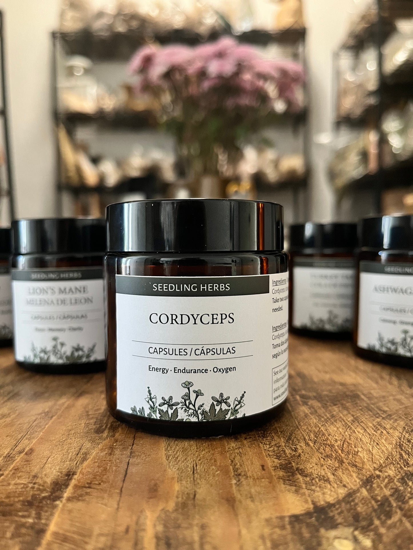 Cápsulas de Cordyceps