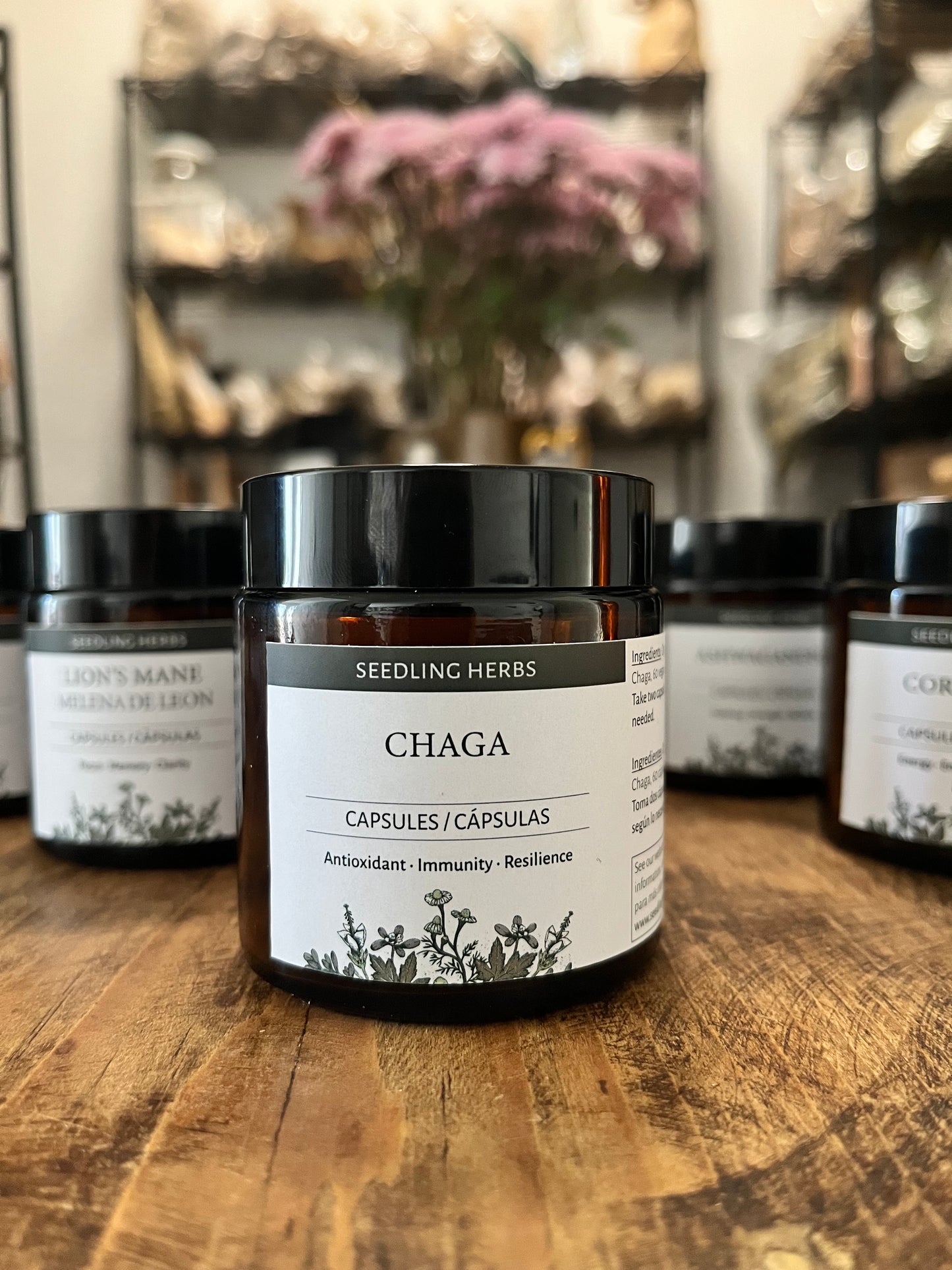 Cápsulas de Chaga