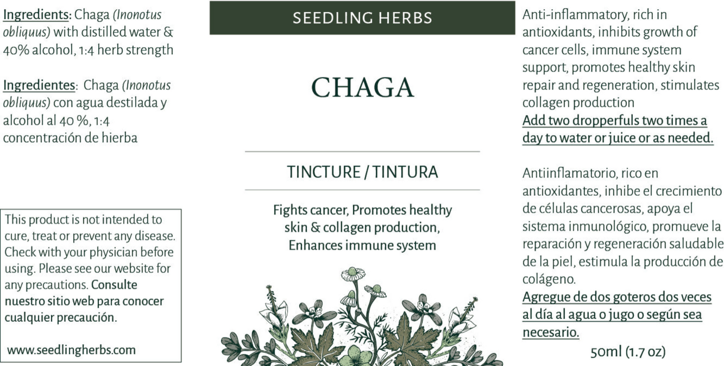 Tintura de Chaga