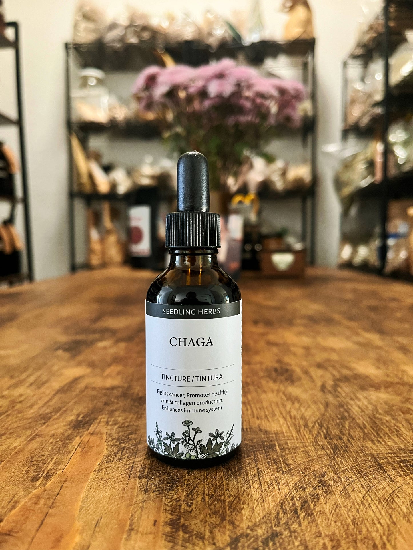 Tintura de Chaga