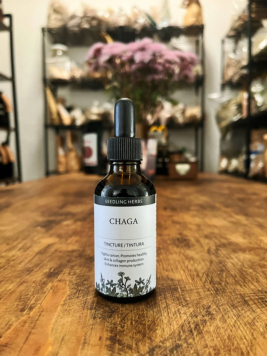 Tintura de Chaga